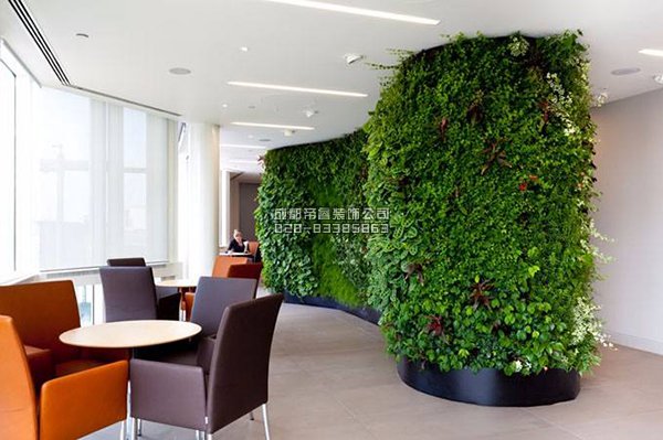 辦公室裝修完以后擺放什么綠植好？