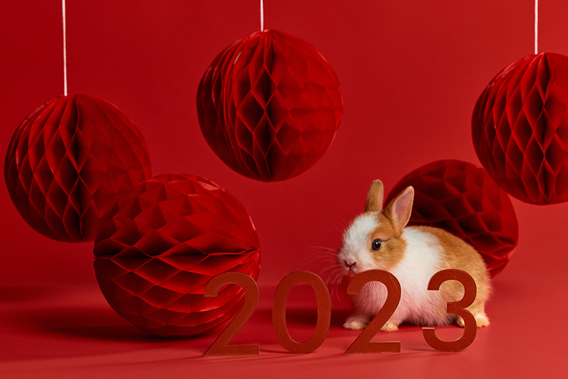 公司年會(huì )布置現場(chǎng)圖片